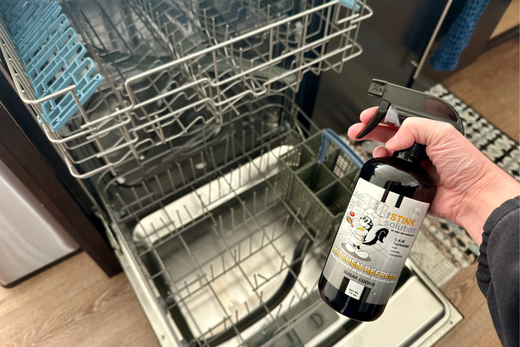 Dishwasher odor eliminator
