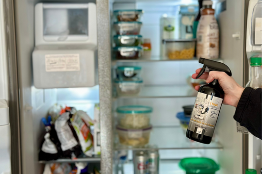 How to get rid of leftover food smell