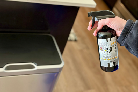 How to get rid of trash and garbage odor in your kitchen