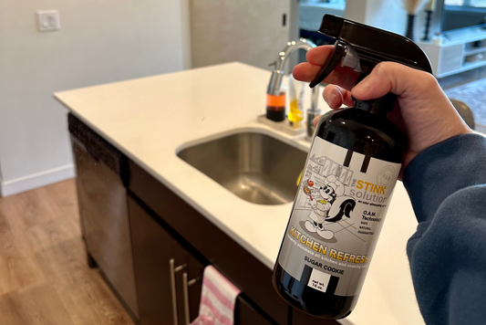 The Best Kitchen Odor Eliminator