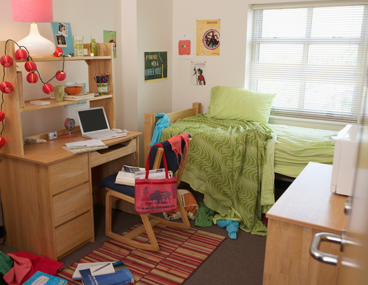 College Dorm Odor Eliminating Spray