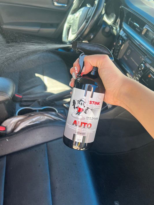 How to get fast food smell out of your car