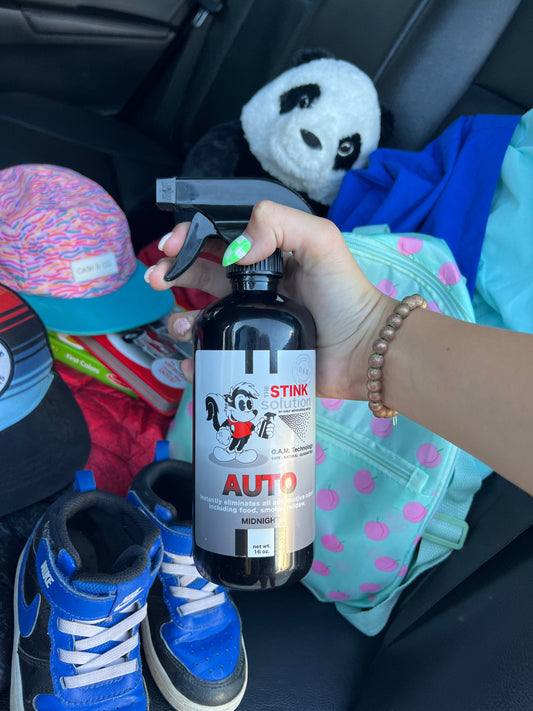 How to get pet odor out of your car