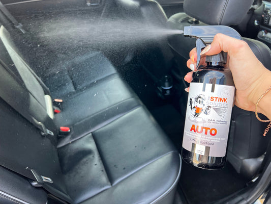 how to get rid of smells in your car from kids