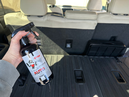 how to get rid of bad smells in your car