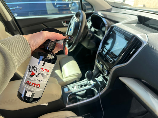 how to get pet odor out of your car
