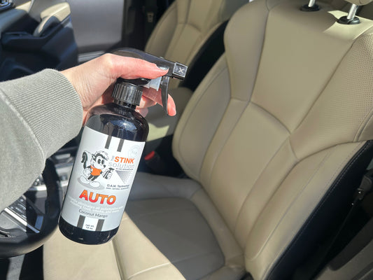 How to naturally deodorize your stinky car