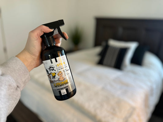 How to get pee smell out of a comforter