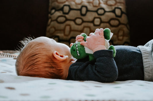 How to remove odor from stuffed animal toys
