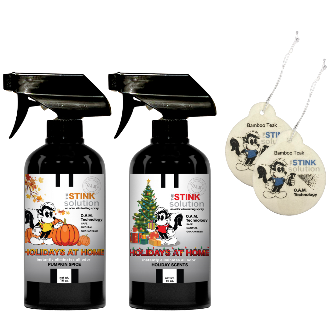 Buy 2 Get 2 Car Air Fresheners - One Holiday Scents Odor Eliminating Spray, One Spray of Choice 16 oz. Sprays