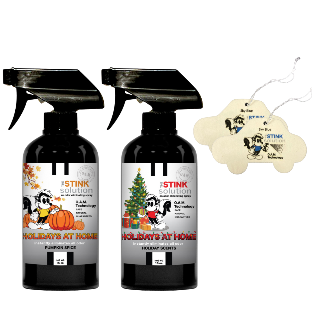 Buy 2 Get 2 Car Air Fresheners - One Holiday Scents Odor Eliminating Spray, One Spray of Choice 16 oz. Sprays