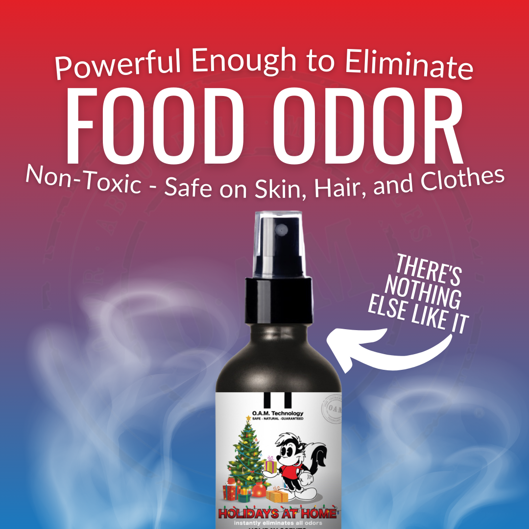 Buy 2 Get 2 Car Air Fresheners - One Holiday Scents Odor Eliminating Spray, One Spray of Choice 16 oz. Sprays