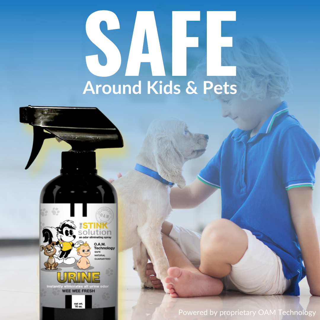 Buy 3 Get 6 FREE - (3) 16 oz (3) 4 oz Urine Wee Wee Fresh Bundle + 3 Car Air Fresheners