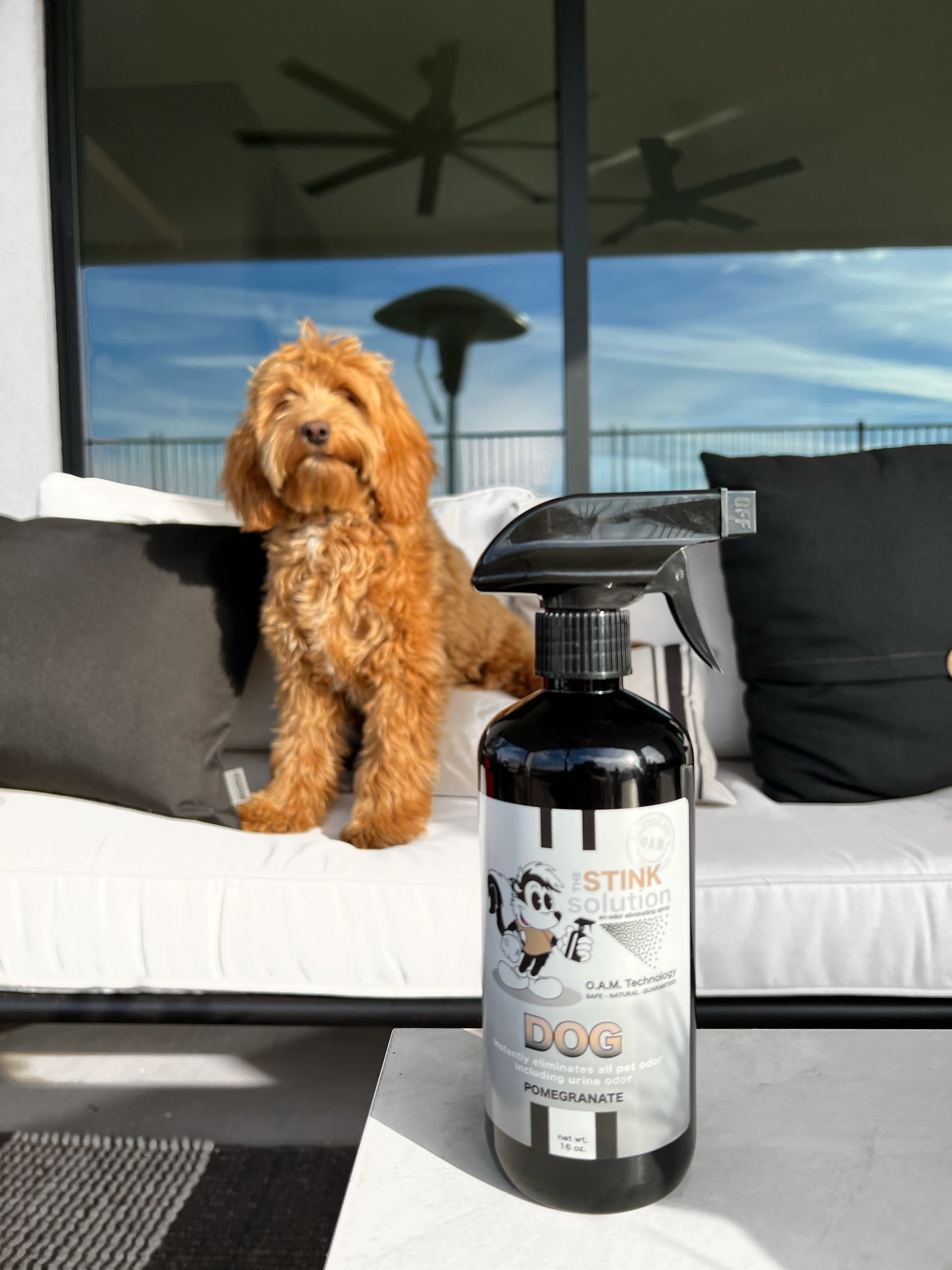 Natural, safe, non-toxic, enzyme-free odor eliminating spray. Multi-purpose use for any odor: smoke, urine, food, sweat, and more. Safe to spray anywhere: homes, cars, furniture, bathroom, carpet, and more.