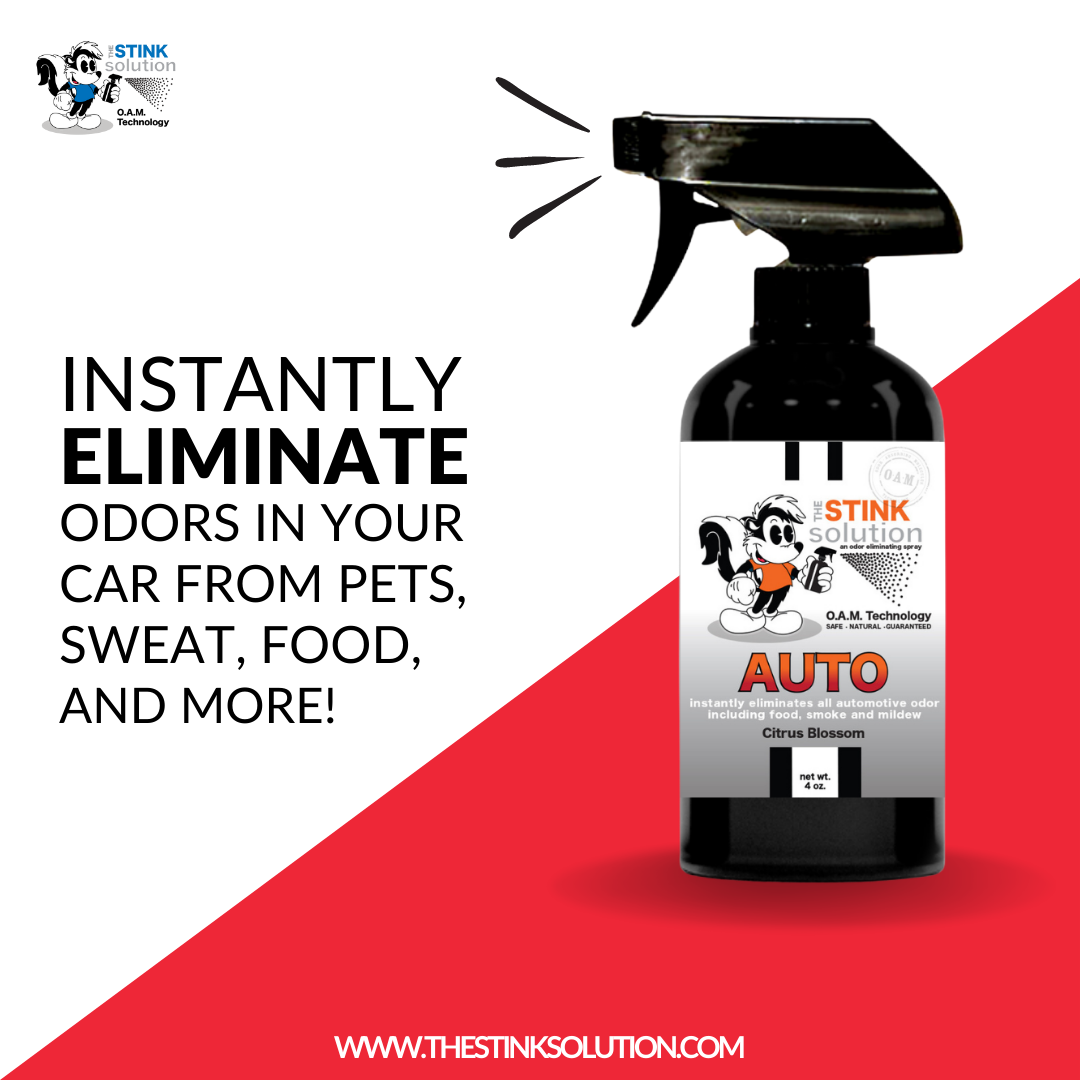 Buy 2 Get 2 Car Air Fresheners - One Auto Odor Eliminating Spray, One Spray of Choice 16 oz. Sprays