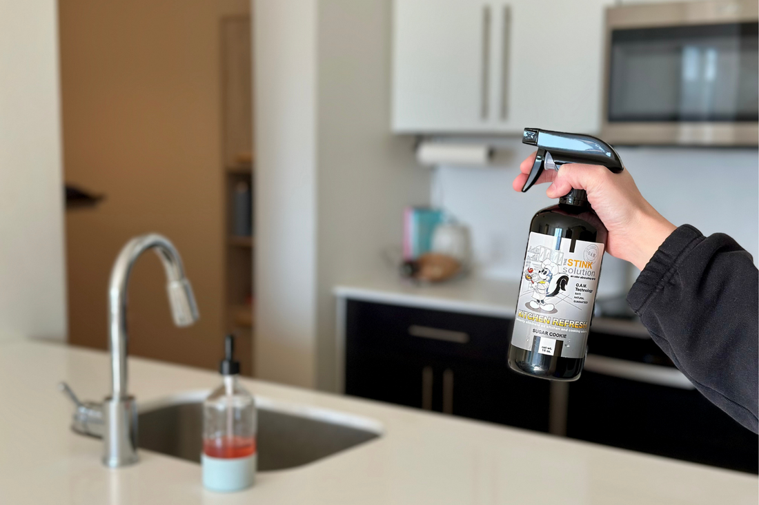 Eliminate Foul Odors from Your Kitchen