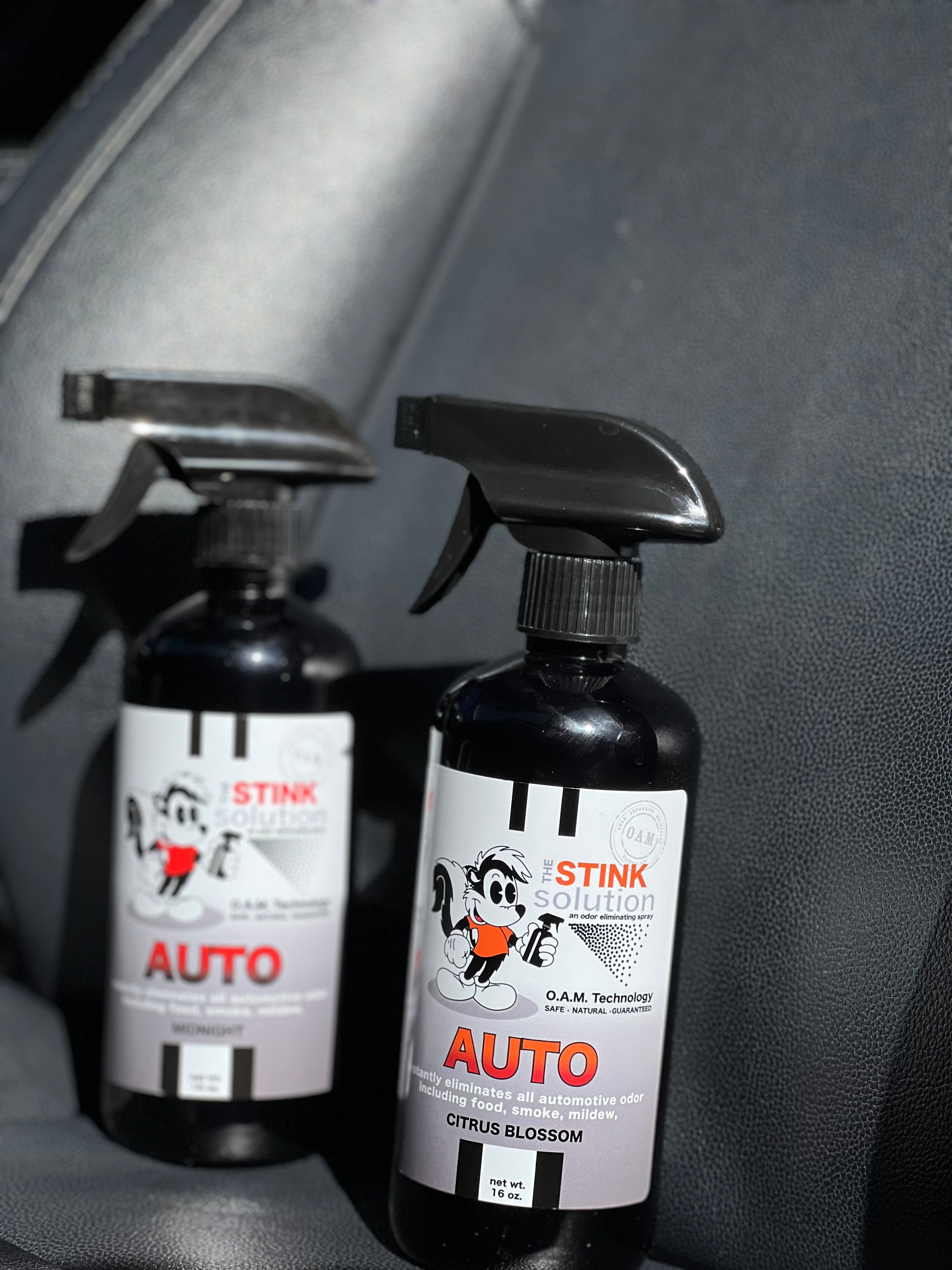 Garage Smells and Car Stinks? Here’s a 2-for-1 Fix – The Stink Solution