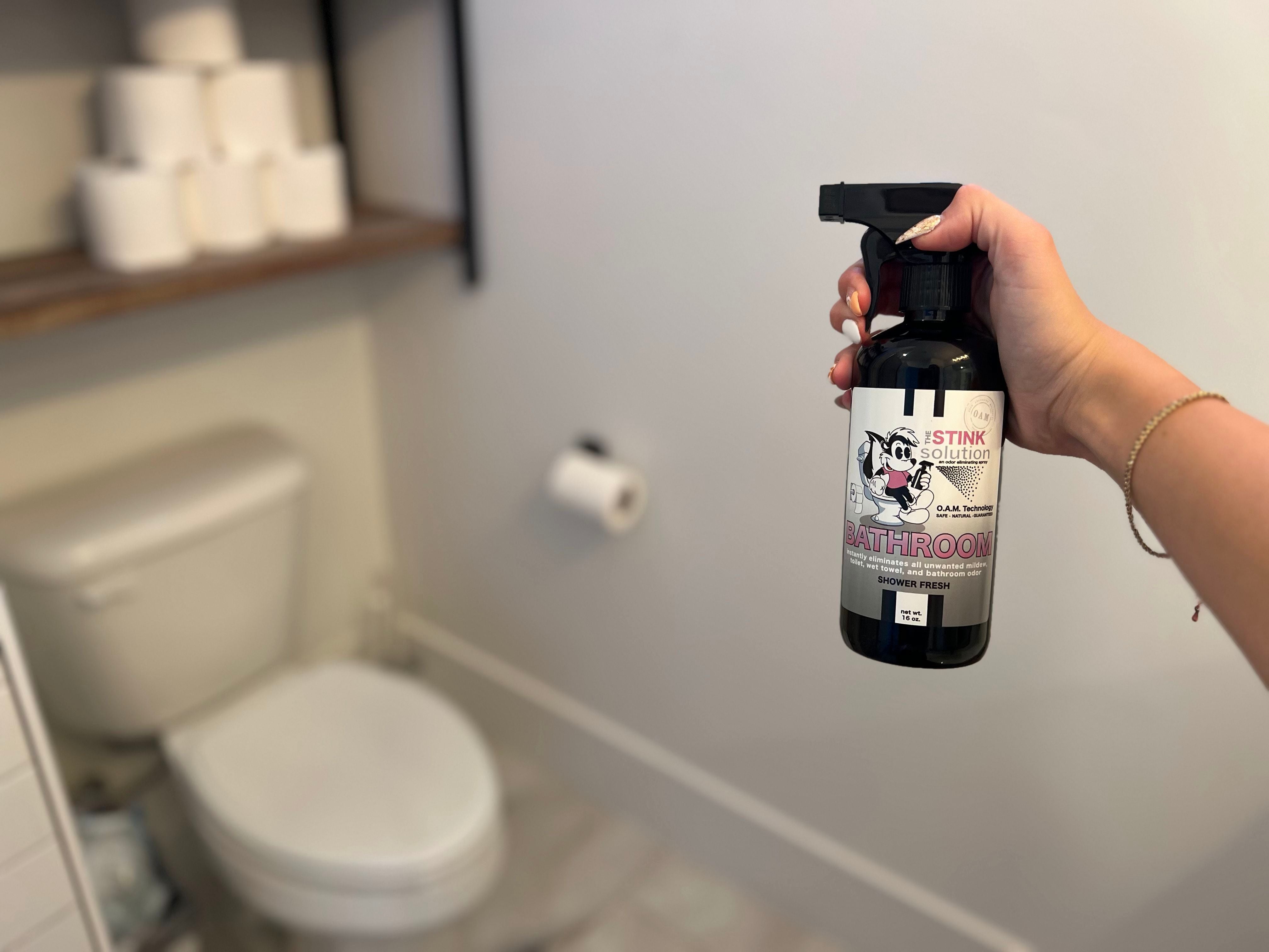 Clean Stink The Secret To Keeping Your Bathroom Smelling Ultra Fresh – The Stink ...