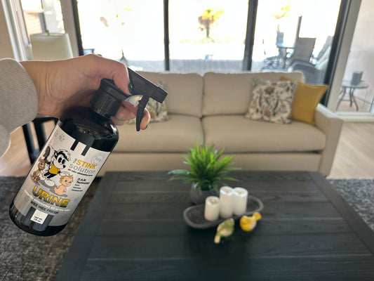 get the pee smell out of your furniture