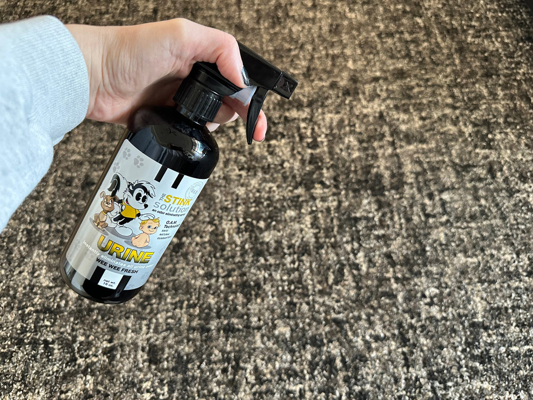 how to eliminate urine odor