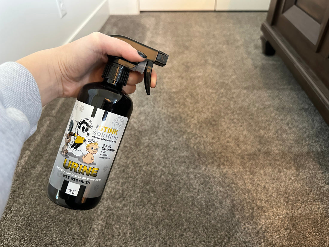 The Pet Parent’s Guide to Winning the War on Pee Smells