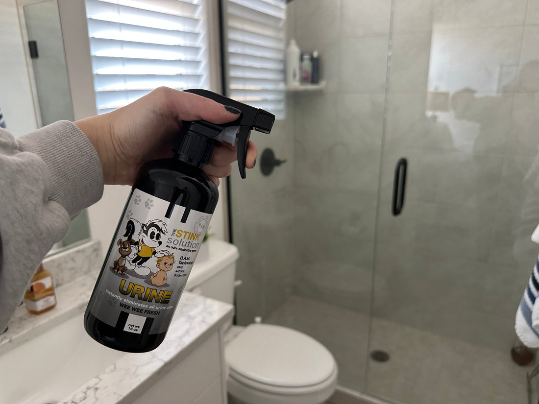 urine smell odor removing spray that works