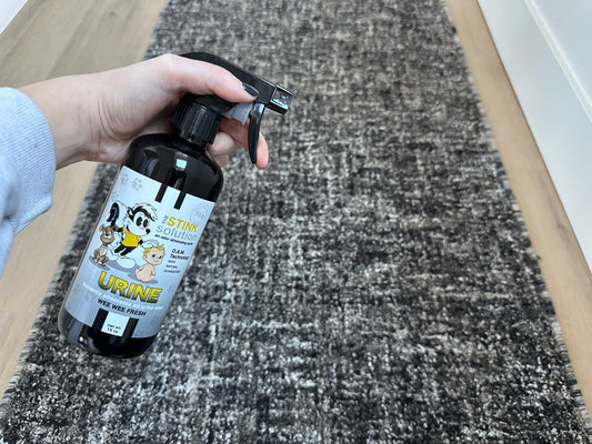 instantly eliminate urine odor from a rug
