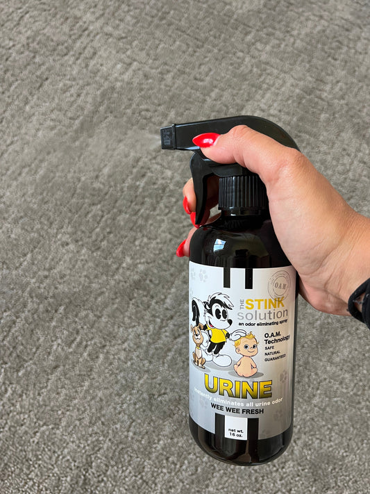 Get pee smells out of carpet
