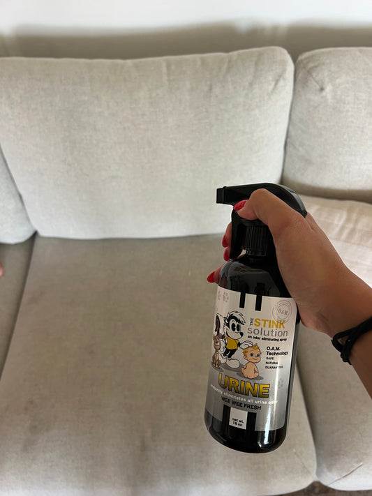 pee smell remover for a couch
