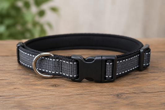 dog collar smells