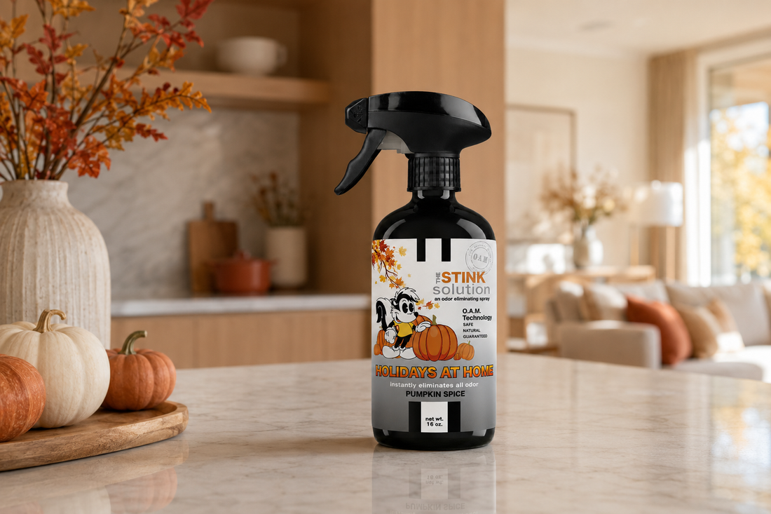 Where to Use Pumpkin Spice Odor Eliminator Around the House This Fall