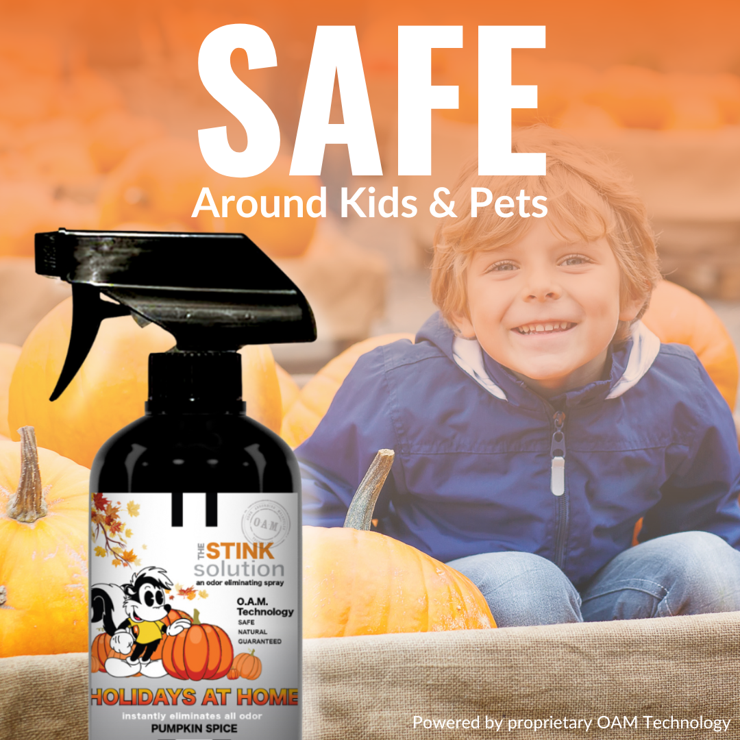 Holidays At Home Fall Pumpkin Spice Double Pack 16 oz. Odor Eliminating Sprays