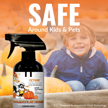 Holidays At Home Fall Pumpkin Spice Double Pack 16 oz. Odor Eliminating Sprays