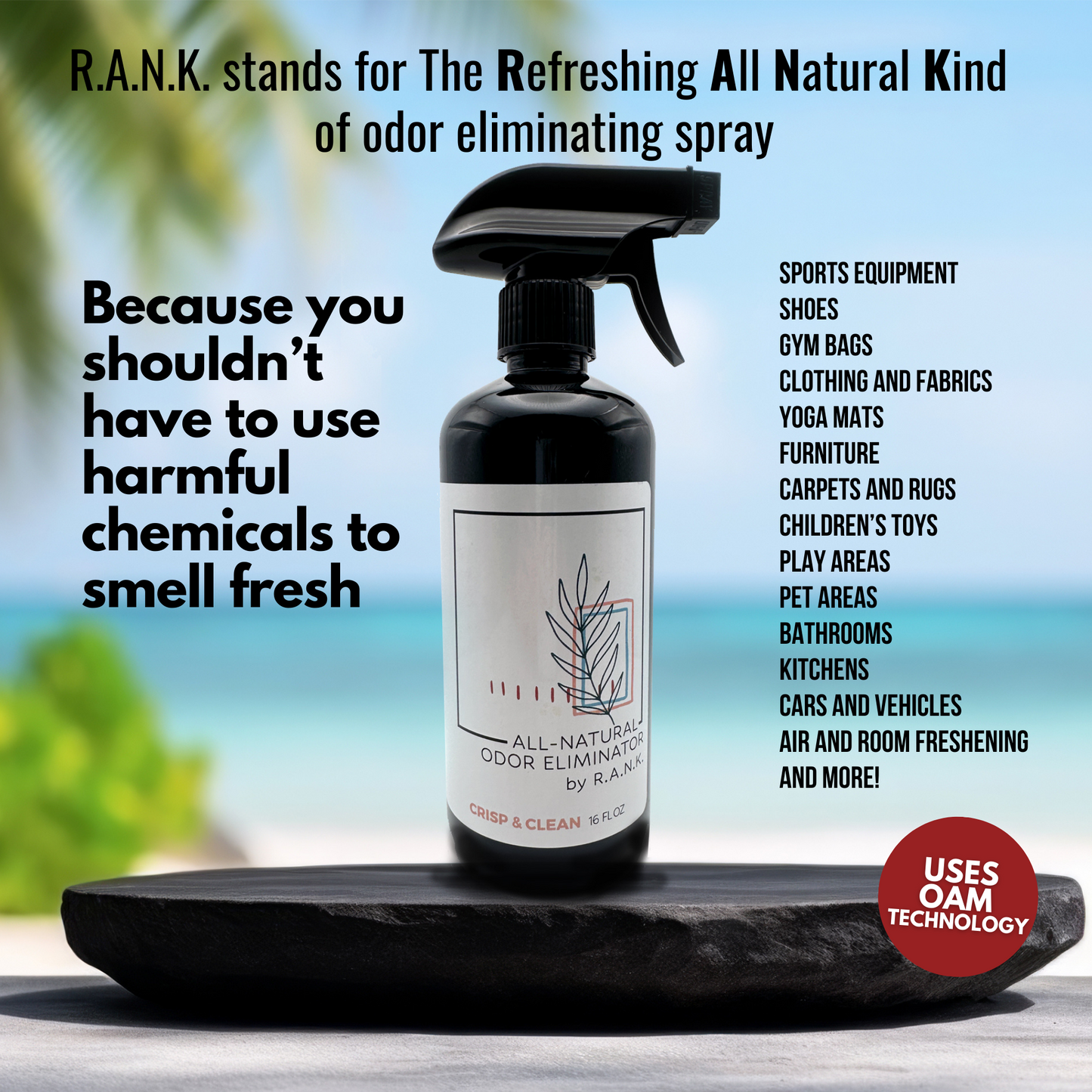 CLEARANCE RANK Natural Odor Eliminating Spray Single 4 oz Bottle