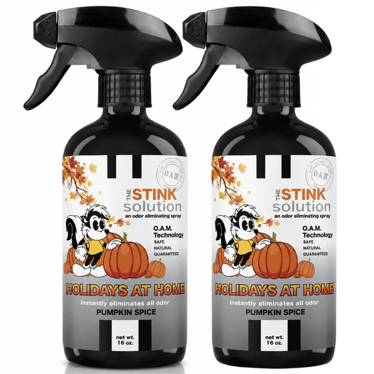 Holidays At Home Fall Pumpkin Spice Double Pack 16 oz. Odor Eliminating Sprays