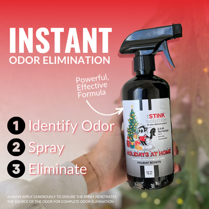 Holidays At Home Holiday Scents Double Pack 16 oz. Odor Eliminating Sprays