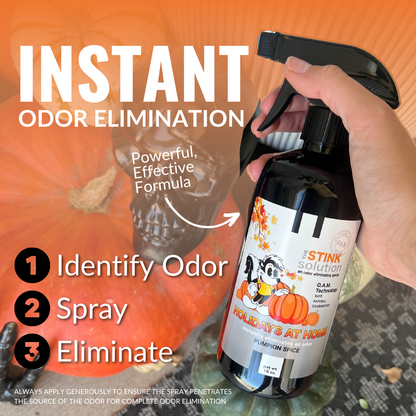 Holidays At Home Fall Pumpkin Spice Double Pack 16 oz. Odor Eliminating Sprays