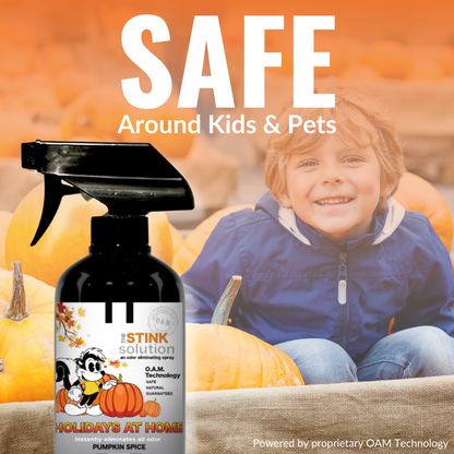 Pumpkin Spray Air Freshener, Pumpkin Spice, Pumpkin Spice Room Spray, pumpkin fresh spray, pumpkin scented, pumpkin spice smell, pumpkin scent, pumpkin spice fragrance, pumpkin spice scent, pumpkin spice air freshener, pumpkin spice car freshener, pumpkin spice car air freshener, pumpkin air fresheners for home, pumpkin spice room freshener, pumpkin spice odor eliminator, pumpkin scent spray, pumpkin spray air freshener