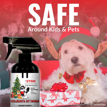 Holidays At Home Holiday Scents Double Pack 16 oz. Odor Eliminating Sprays