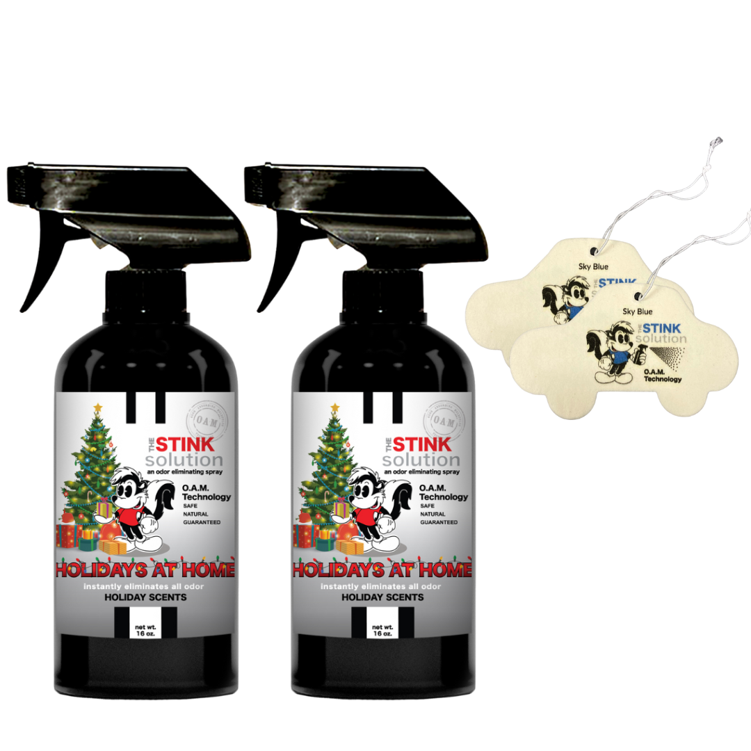 Buy 2 Get 2 Car Air Fresheners - One Holiday Scents Odor Eliminating Spray, One Spray of Choice 16 oz. Sprays