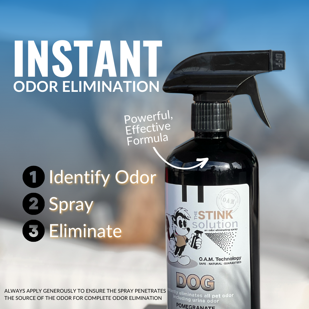 Dog odor eliminator sales spray