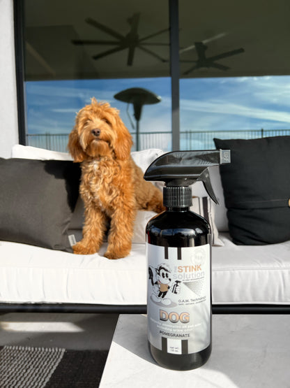 Natural, safe, non-toxic, enzyme-free odor eliminating spray. Multi-purpose use for any odor: smoke, urine, food, sweat, and more. Safe to spray anywhere: homes, cars, furniture, bathroom, carpet, and more.