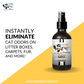 Cat Odor Eliminating Spray in Citrus Orange 4 oz.